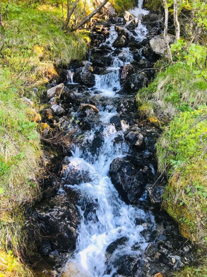 Вилла Mountain Dream House Gryllefjord Экстерьер фото